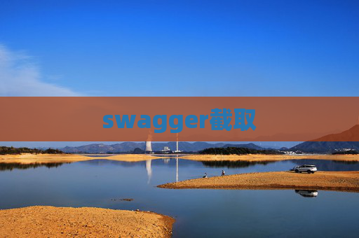 swagger截取
